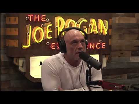 Joe Rogan: UBI Is the Only Way to Survive AI