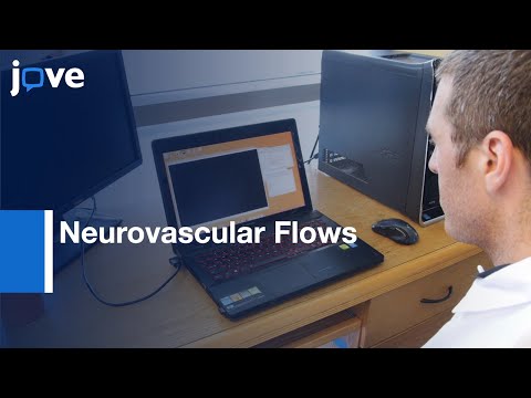Meso-Scale Particle Image Velocimetry Studies Of Neurovascular Flows l Protocol Preview