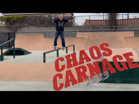 I saw Dying Fetus and Suicide Silence ALONE?! Skateboarding Vlog