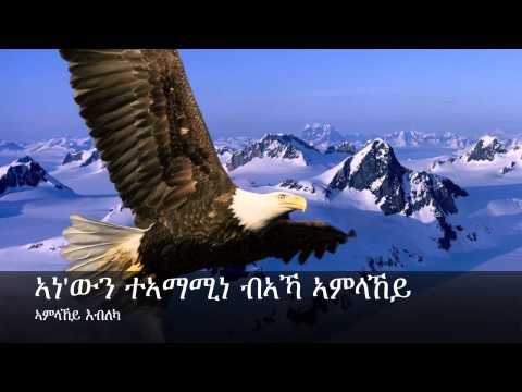 Mezmur Tigrigna by Hamelmal