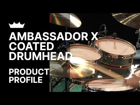 Ambassador X Coated | Remo