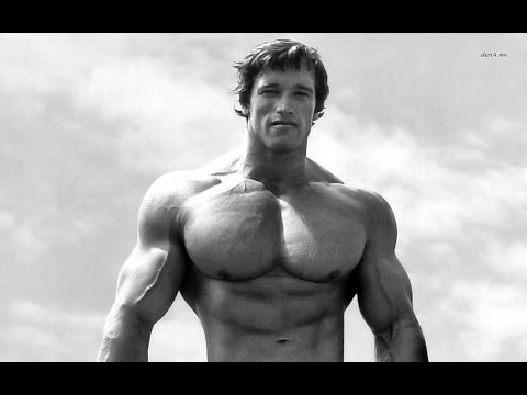 Arnold Schwarzenegger a jeho princípy úspechu a Charizmy