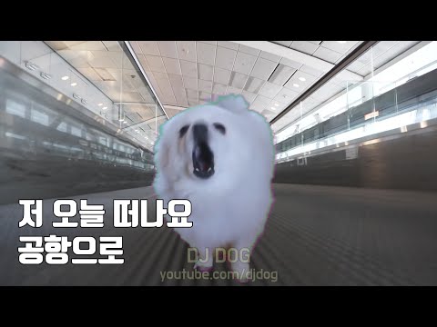 아이콘