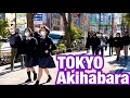 JAPAN TOKYO Akihabara Walking Scenery Maid Akiba