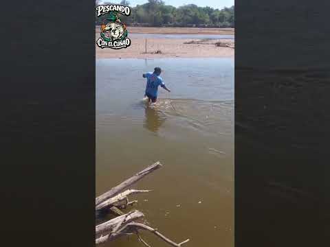 Pescando En El RIO SAN FRANCISCO Yuto Jujuy Panke Dando Clases Con La Trampa 😎🎣 Gracias Amigo Brus📷