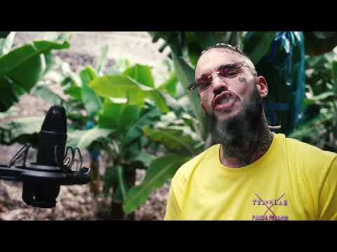 OG GARA /// Plata-No (GOLD T)