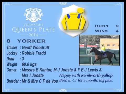 THE L'ORMARINS QUEENS PLATE 2014