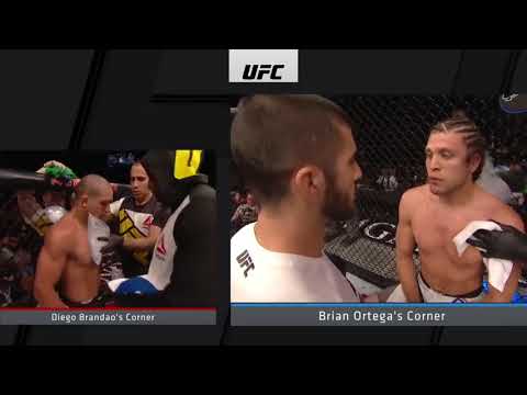 Brandao vs Ortega