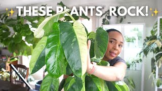 🌿These plants THRIVED despite the dark winter! || 🌼March Houseplant Favourites 2025🌸
