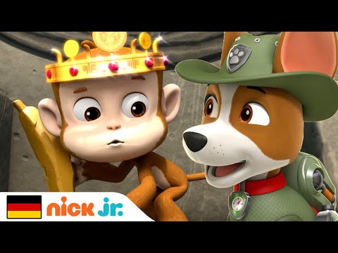 PAW Patrol | Tracker, der Dschungelwelpe | Nick Jr. Deutschland