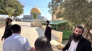 שירת הגואלים (ישיבת הר הבית) - התמונה מוצגת ישירות מתוך אתר האינטרנט יוטיוב. זכויות היוצרים בתמונה שייכות ליוצרה. קישור קרדיט למקור התוכן נמצא בתוך דף הסרטון שירת הגואלים (ישיבת הר הבית) - התמונה מוצגת ישירות מתוך אתר האינטרנט יוטיוב. זכויות היוצרים בתמונה שייכות ליוצרה. קישור קרדיט למקור התוכן נמצא בתוך דף הסרטון