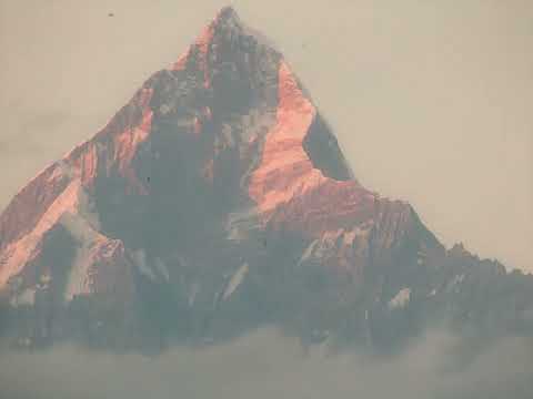 Pamplem'House - J'adore Conduire Des Bateauwwww