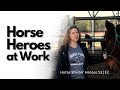 Horse Shelter Heroes | S2E2 | Full Episode