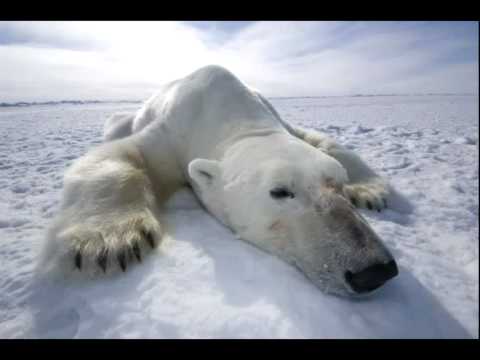 Insideinfo , Kiro & 59Crime - Response