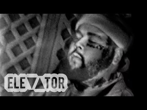 Flyboy Tarantino - She's Out Of My League (Official Music Video)