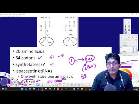079 Translation tRNA synthetases