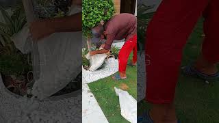 small rockery how to use pebbles in your garden easy to use pebbles ULP LANDSCAPING 0300-42-46-125