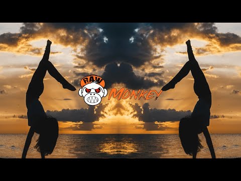 M4DNOX - Klap The Party (MELODIC RAW) [MONKEY TEMPO]