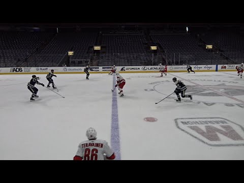 Carolina Hurricanes Offside Goal Stands, Officials Acknowledge Mistake