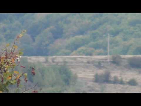 DAVIDESTI CONTESTI  OLTEANCA