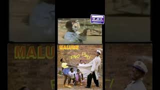 Download lagu Malume Piki Piki 1988 #πΏπ¦ #bubblegum #disco #pop #african #80s #shorts mp3 Download lagu Malume Piki Piki 1988 #πΏπ¦ #bubblegum #disco #pop #african #80s #shorts mp3