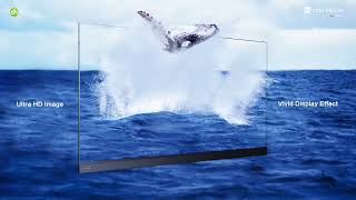 XWALL-PLUS de Qstech Pantalla LED All-in-one