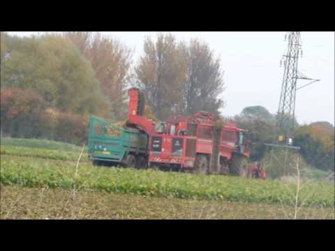Sugar Beet Harvesting on a big scale - Saturday 29 October 2016