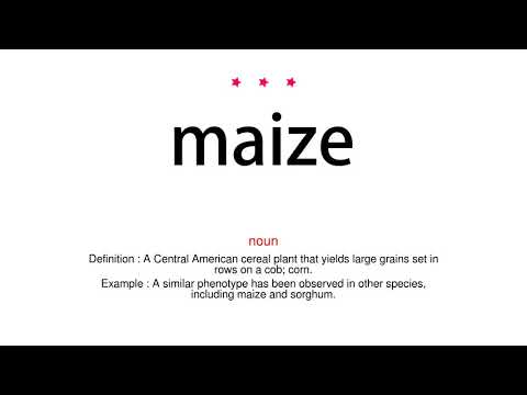 How to pronounce maize - Vocab Today