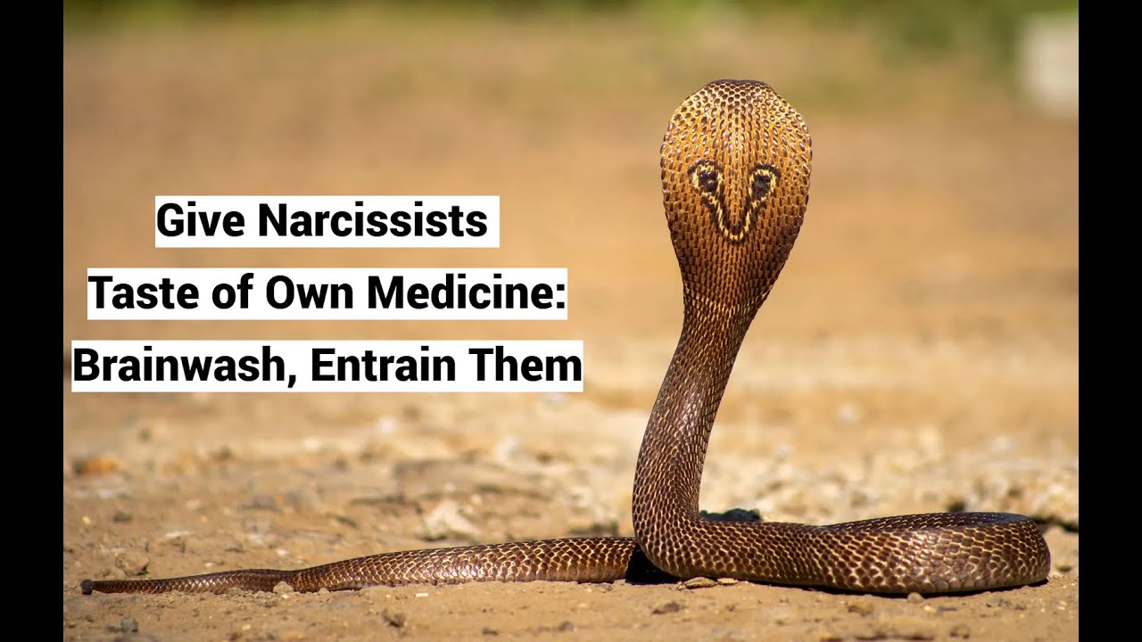 Give Narcissists Taste of Own Medicine: Brainwash, Entrain Them