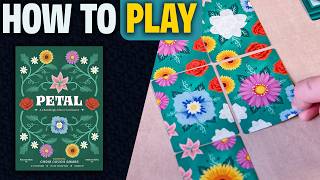 kovray - Petal video thumbnail