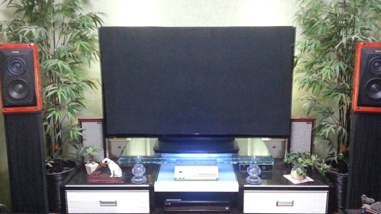 Sonus faber guarneri memento (break)