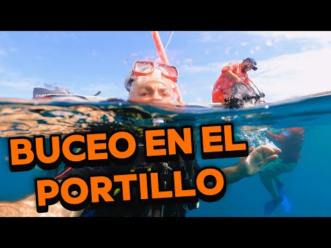 Videos del Bahia Principe Grand El Portillo 5★ en Las Terrenas, República DominicanaVer MásVerPrecios21CerrarConsulta por Whatsapp 🇦🇷BookingTripadvisorExpediaAgodaTravelocityOrbitzPricelineTripSkyscannerDespegarKayakHotelesBestdayDestiniaTrivagoTurismocityAlmundoLastminuteHotwireTuiWotif
