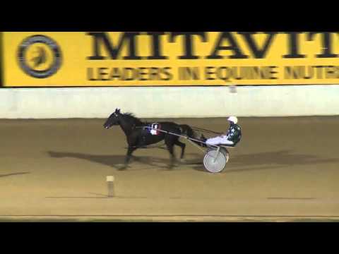 NEWCASTLE - 30/04/2016 - Race 2 - OAS TECHNOLOGY GROUP NSW STATE BRED BREEDERS CHALLENGE P…