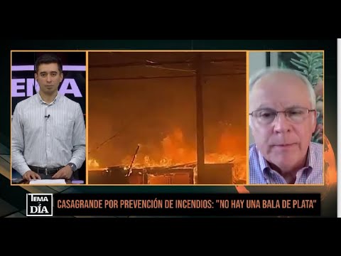 "Advertimos que estas condiciones podían generar incendios catastróficos": Pdte Corma BíoBío y Ñuble