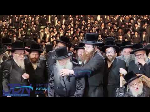 Chernobil Rebbe Saying Shema At Daf Yomi Behalacha Siyum - Rosh Chodesh Adar II 5782
