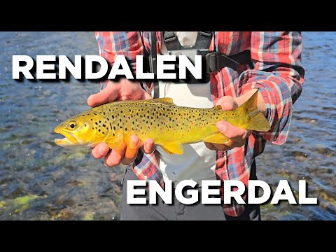 Ørretfiske i Rendalen og Engerdal