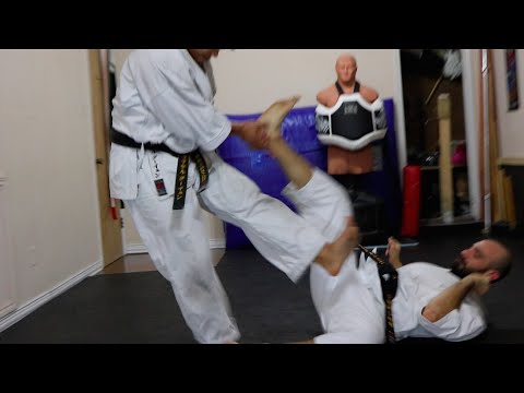 Okinawan Karate: The Science of Fighting Dirty