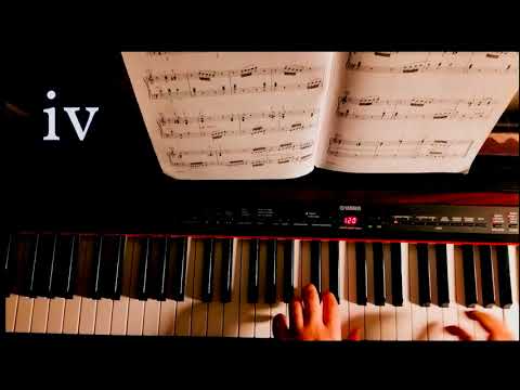 Hugo Reinhold - Fireflies