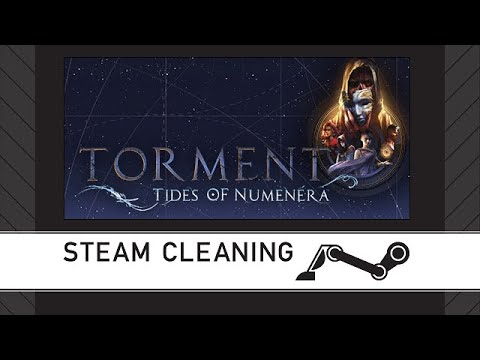 Steam Cleaning - Torment: Tides of Numenera