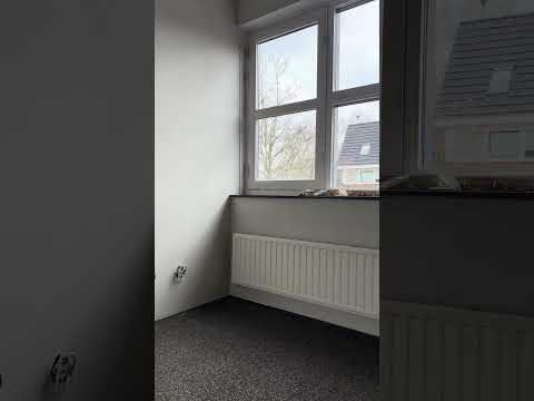 Details Maken het Verschil: Perfect Sausklaar in Amsterdam