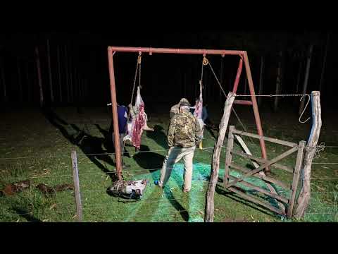 Cacería #4 Sauce Corrientes 