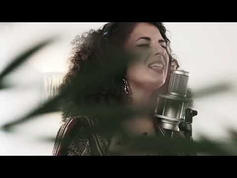 DeVee -  What we had