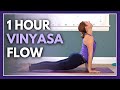 1 Hour Intermediate Yoga Flow Revitalize Renew Relax
