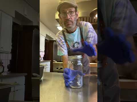 Sweet Lemon Oil, Hummus & Avocado Toast