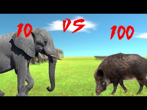 10 Elephants vs 100 Wild Boars - Animal Revolt Battle Simulator