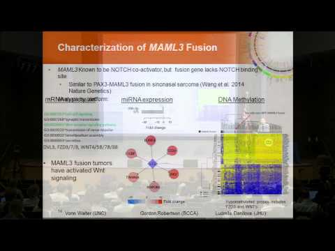 Integrated Genomic Characterization of Pheochromocytoma and Paraganglioma - Matthew Wilkerson
