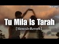 Tu Mila Jis Tarah Saba Mile Slowed Reverb Shafaqat Ali Audio Vibes