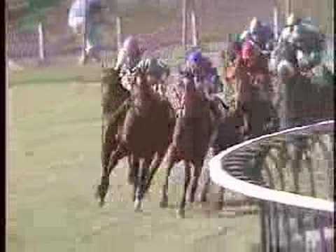 1986 Breeders' Cup Turf