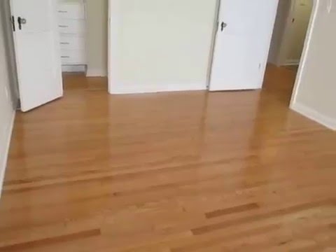 PL5697 - Beautiful 1 Bed + 1 Bath in PRIME LOCATION for Rent! (Los Angeles, CA)