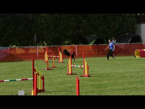 IX. Szigetköz Kupa - Kezdő M+ Tövissel